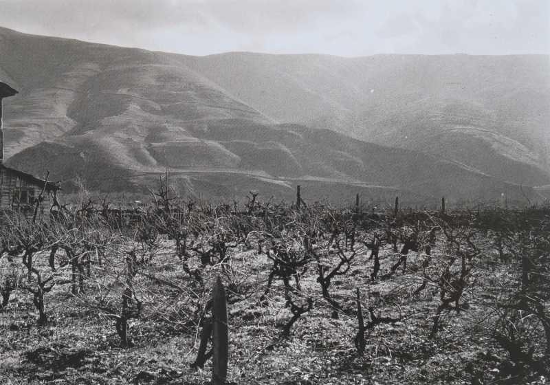 Montañas e viñedos, A Rúa. Ruth Matilda Anderson, 1924. © Hispanic Society of America.